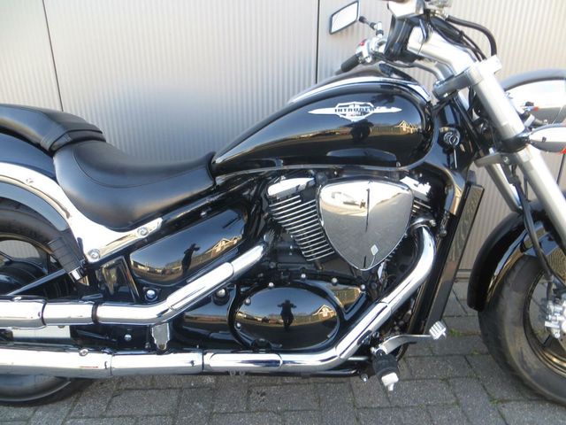 suzuki - new-intruder-m-800