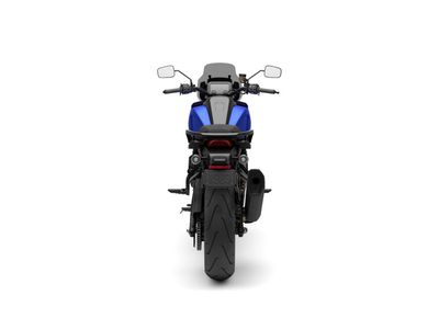 HARLEY-DAVIDSON PAN AMERICA 1250 ST – foto 3