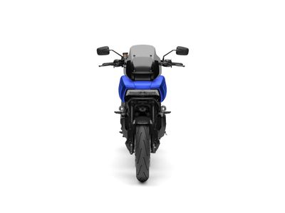 HARLEY-DAVIDSON PAN AMERICA 1250 ST – foto 4