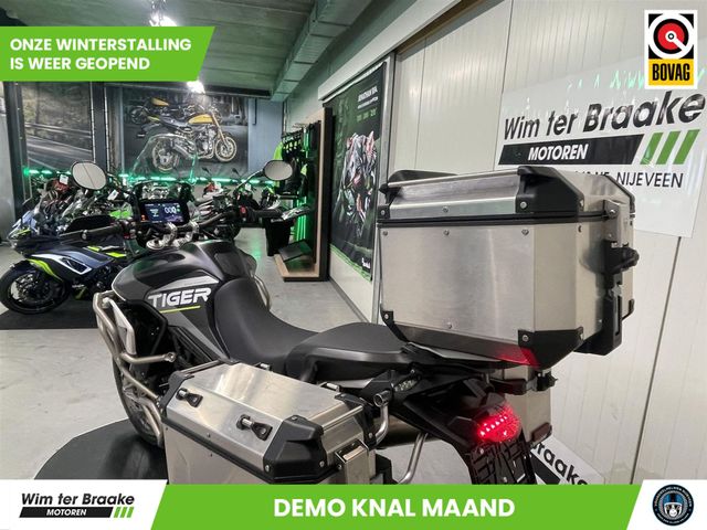 triumph - tiger-900-rally-aragon-edition