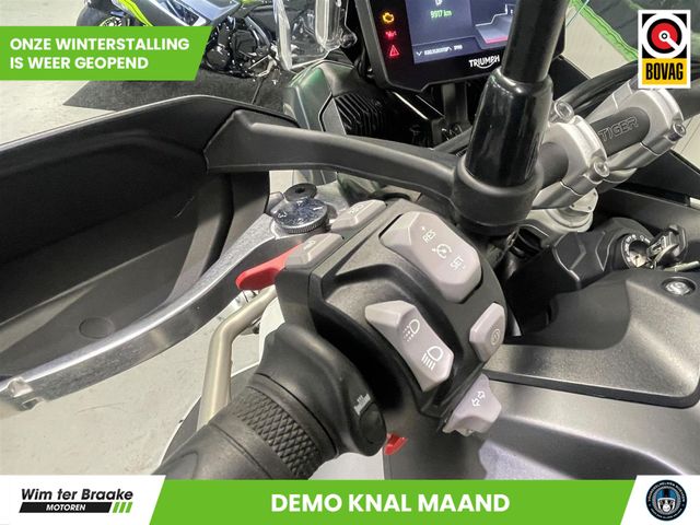 triumph - tiger-900-rally-aragon-edition