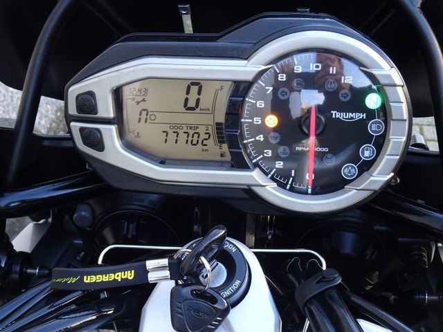 triumph - tiger-explorer