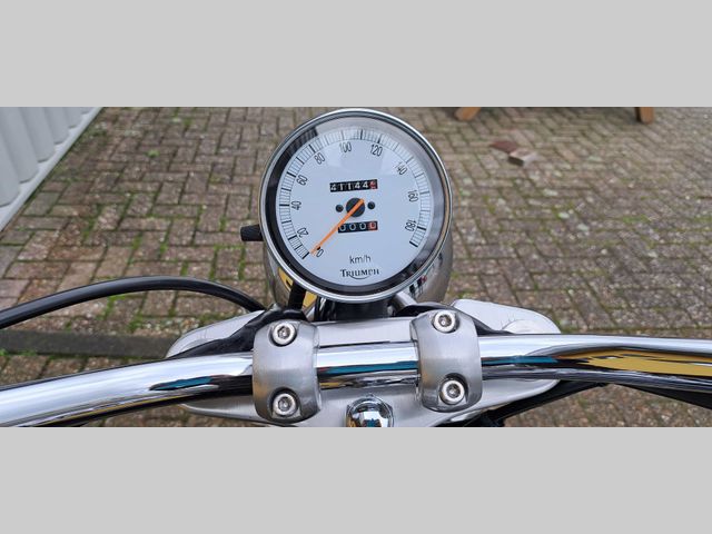 triumph - speedmaster