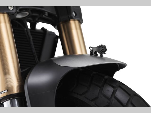 benelli - leoncino-800