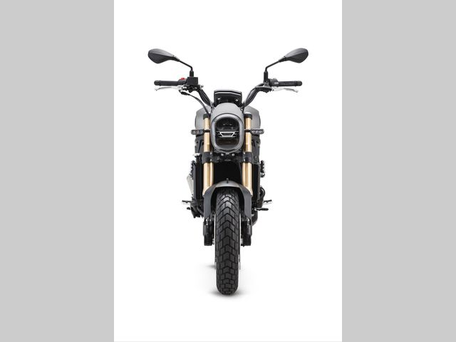 benelli - leoncino-800