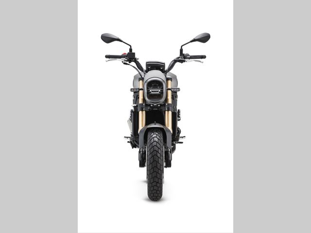 benelli - leoncino-800