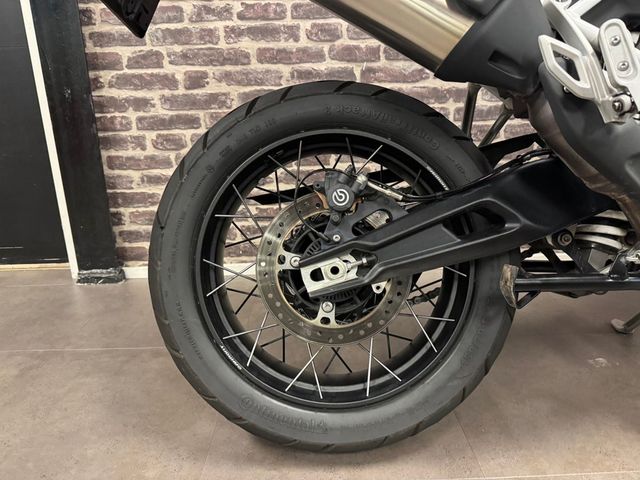 triumph - tiger-900-rally-pro