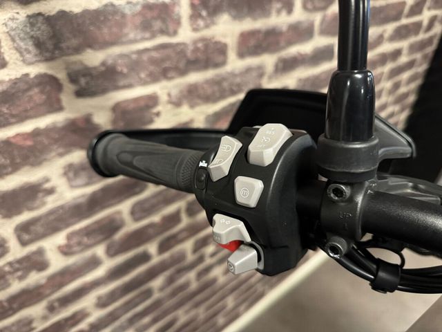 triumph - tiger-900-rally-pro