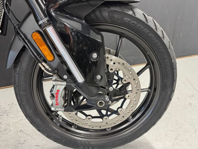 triumph - tiger-900-gt-pro