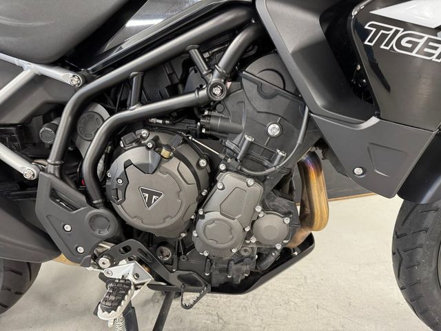 triumph - tiger-900-gt-pro