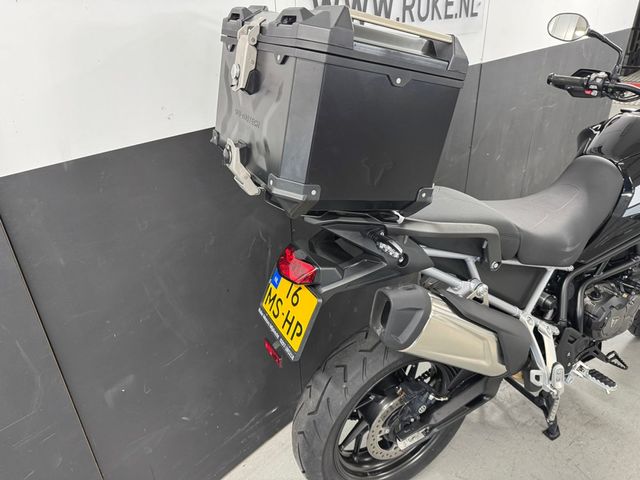 triumph - tiger-900-gt-pro