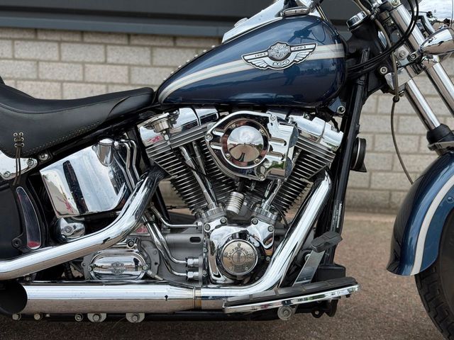 harley-davidson - softail-standard