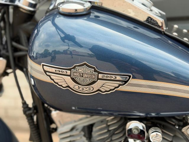 harley-davidson - softail-standard