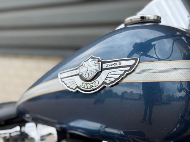 harley-davidson - softail-standard
