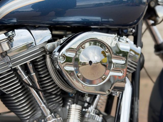 harley-davidson - softail-standard
