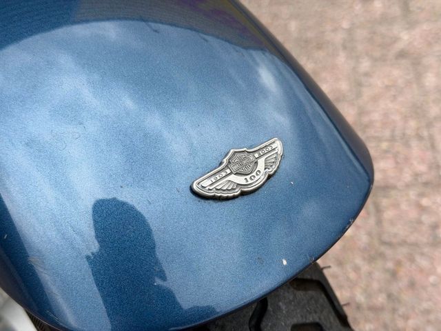 harley-davidson - softail-standard