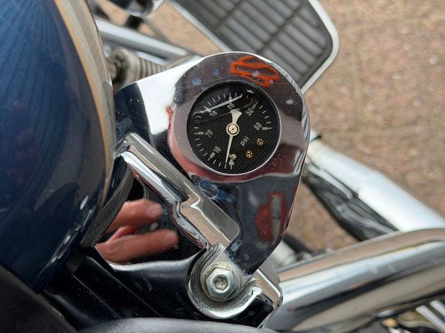 harley-davidson - softail-standard
