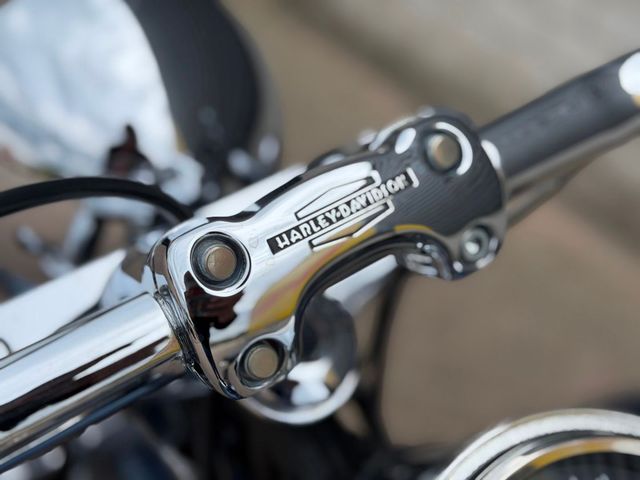 harley-davidson - softail-standard