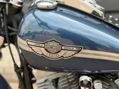 Harley-Davidson Fxst 88 Softail Standard 100TH Anniversary 5HD 2003 occasion – foto 10 van 20