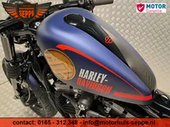 Harley-Davidson Sportster Forty Eight Special 2015 occasion – foto 14 van 19