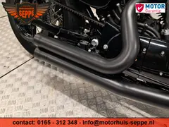 Harley-Davidson Sportster Forty Eight Special 2015 occasion – foto 8 van 19