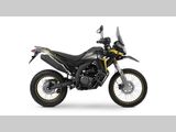 VOGE 300 RALLY