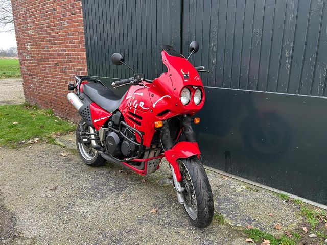 triumph - tiger-900
