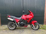 TRIUMPH TIGER 900