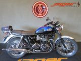 TRIUMPH BONNEVILLE T 100