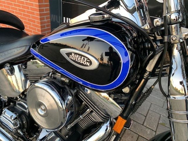 harley-davidson - springer-flsts-softail