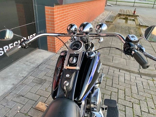 harley-davidson - springer-flsts-softail