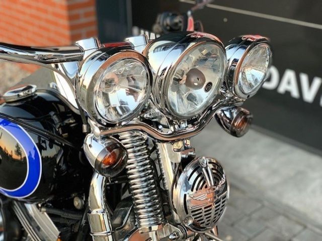 harley-davidson - springer-flsts-softail