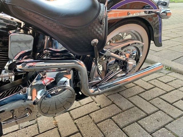 harley-davidson - springer-flsts-softail