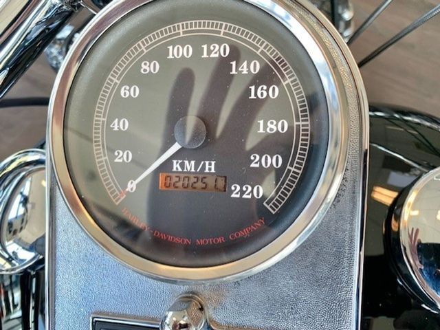 harley-davidson - springer-flsts-softail