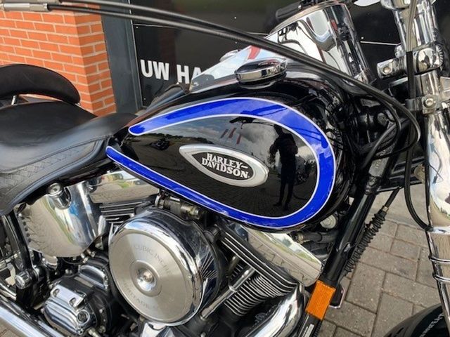 harley-davidson - springer-flsts-softail