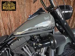 Harley-Davidson Night Train Fxstb 2007 occasion – foto 16 van 24