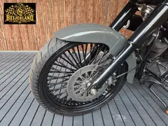 Harley-Davidson Night Train Fxstb 2007 occasion – foto 20 van 24