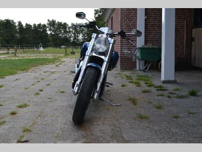 HARLEY-DAVIDSON V-ROD STREET ROD VRSCR – foto 3
