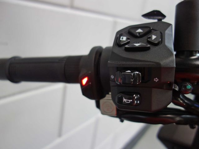 aprilia - tuono--v4-1100-factory