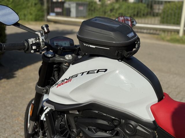 ducati - monster