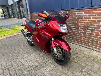 HONDA CBR 1100  XX SUPER BLACKBIRD – foto 4