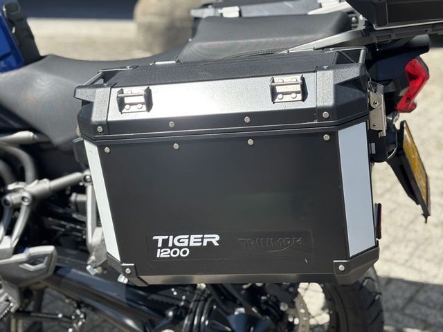 triumph - tiger-explorer-xcx