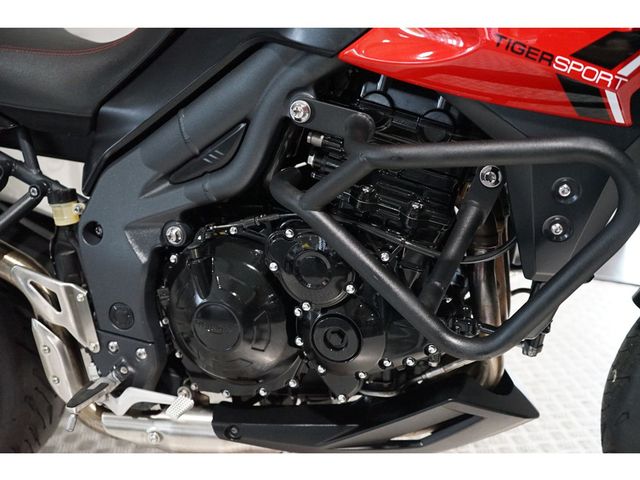 triumph - tiger-sport