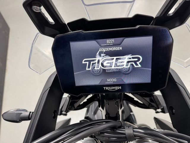 triumph - tiger-900-gt-pro