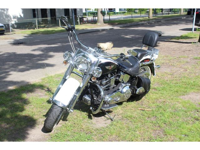 harley-davidson - softail-deluxe