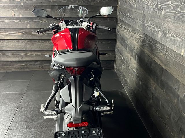 triumph - daytona-660