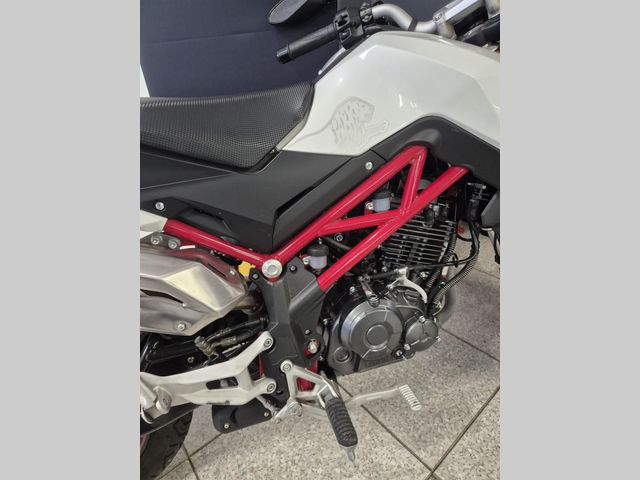 benelli - tornado-naked-t