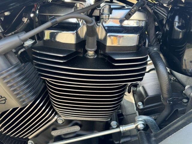 harley-davidson - softail-fatboy-114