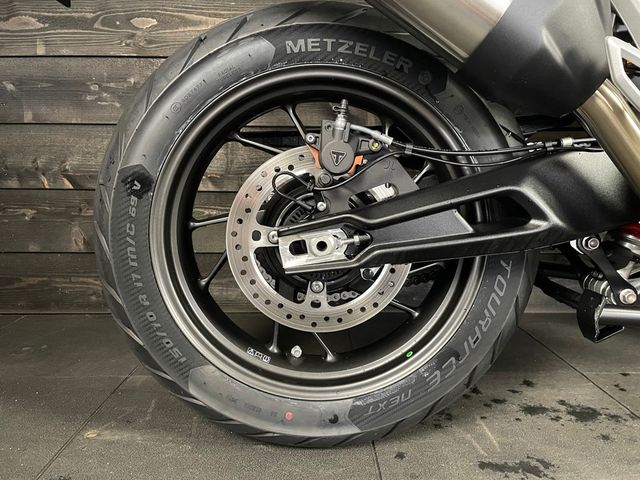 triumph - tiger-900-gt-pro