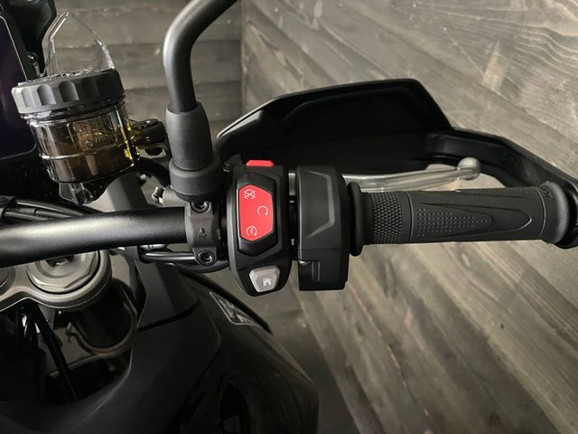 triumph - tiger-900-gt-pro